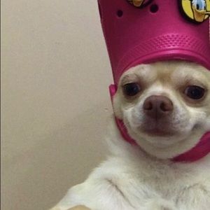 Meet your Posher, Araceli